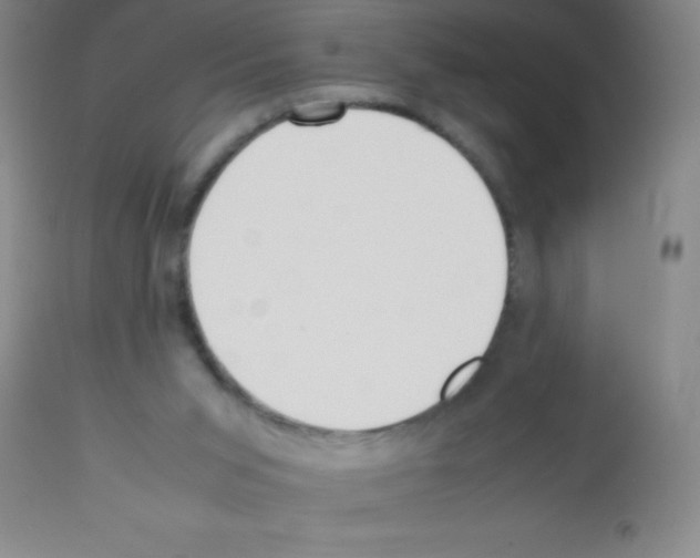 X0000113210015200910221113