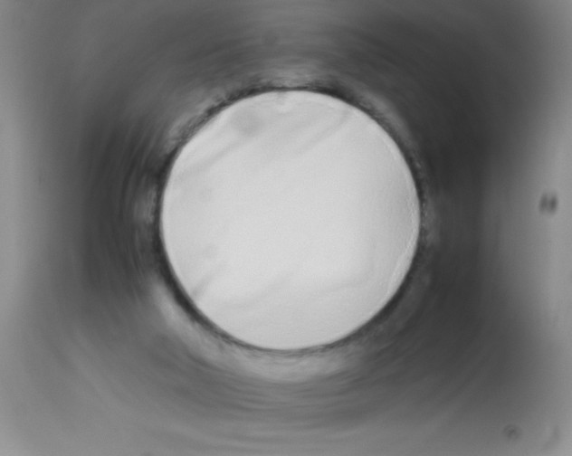 X0000113210018200910221113