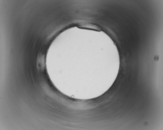 X0000113210020200910221113