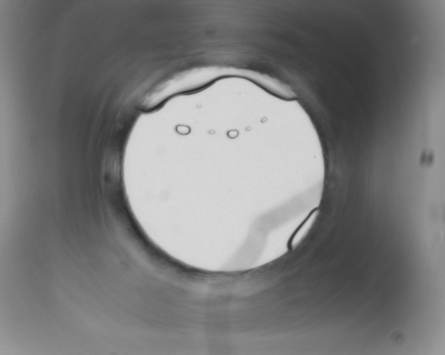 X0000113210021200910221113