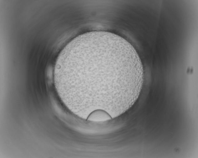 X0000113210022200910221113