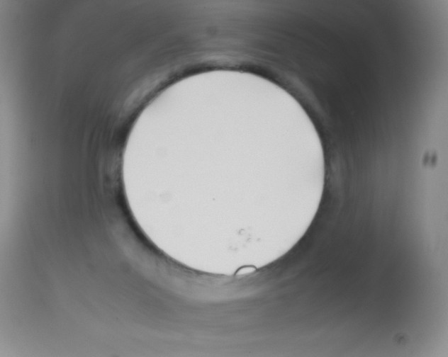 X0000113210023200910221113