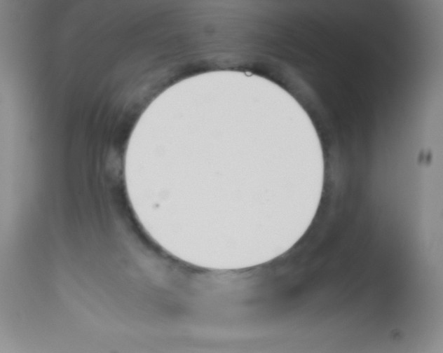 X0000113210025200910221113