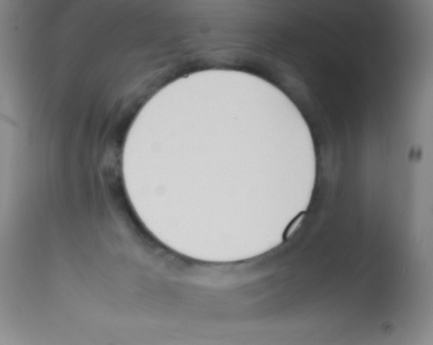 X0000113210029200910221113