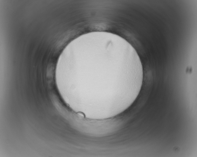 X0000113210030200910221113