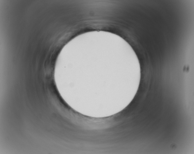 X0000113210031200910221113