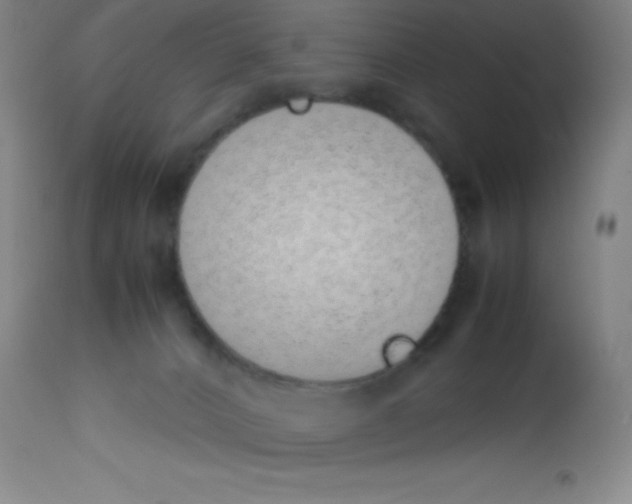 X0000113210032200910221113