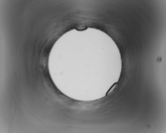 X0000113210033200910221113