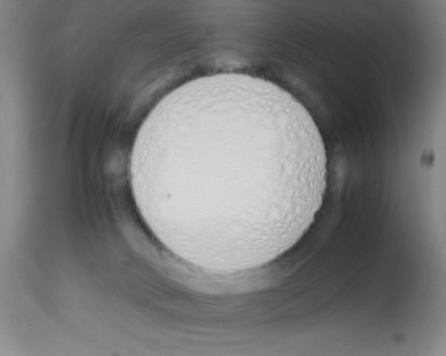 X0000113210034200910221112