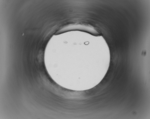 X0000113210036200910221112