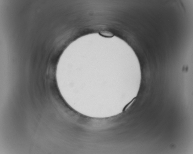 X0000113210037200910221112