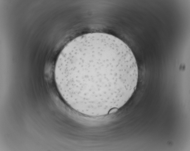 X0000113210038200910221112