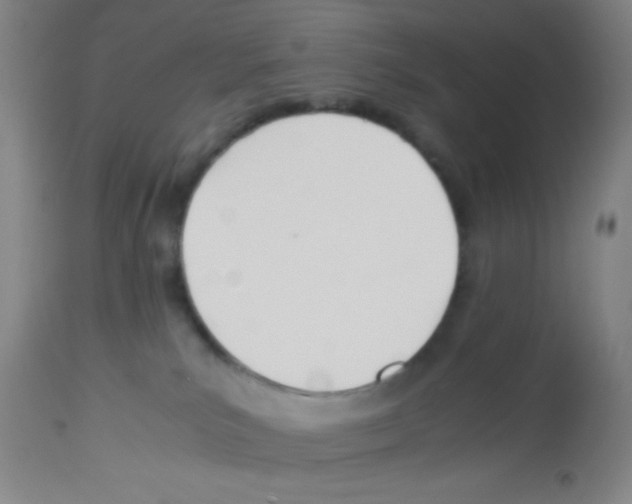 X0000113210039200910221112