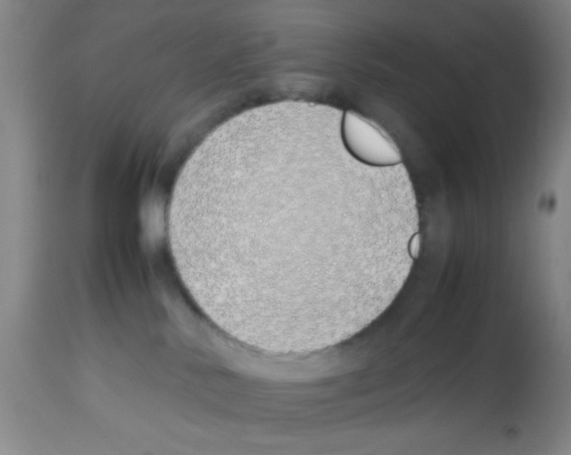 X0000113210042200910221112