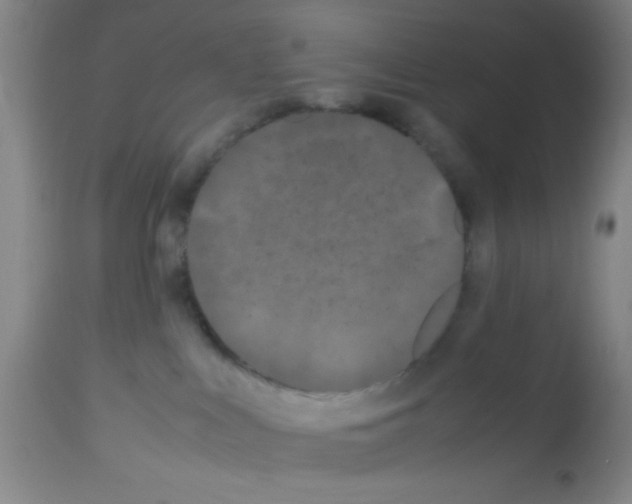 X0000113210043200910221112