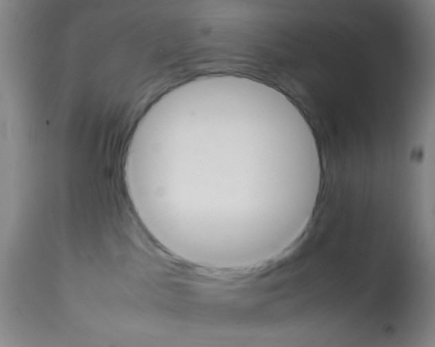 X0000113210045200910221112