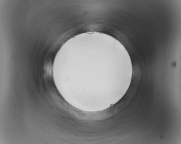 X0000113210046200910221112