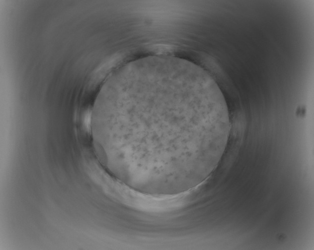 X0000113210047200910221112