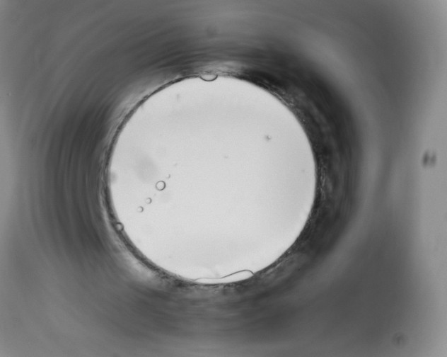 X0000113210049200910221111