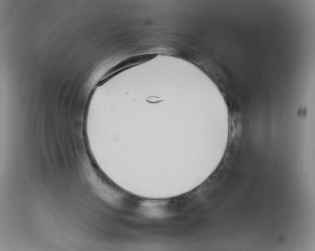 X0000113210051200910221111