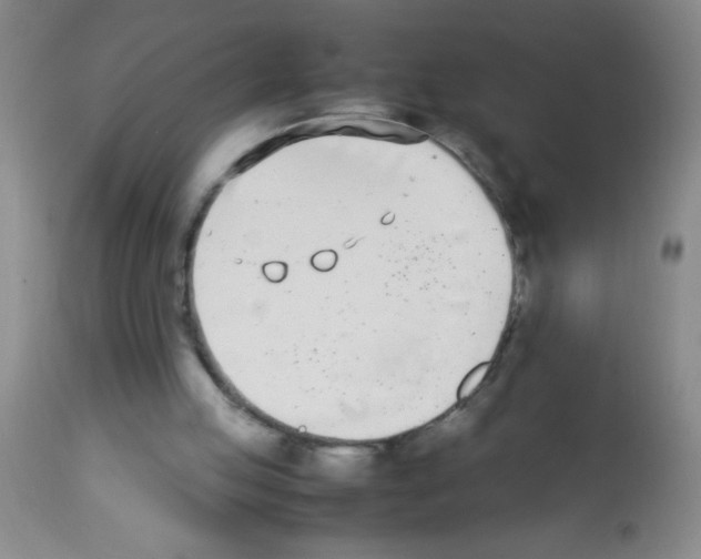 X0000113210053200910221112