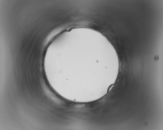 X0000113210054200910221112