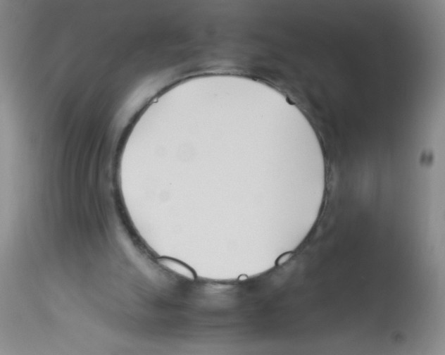 X0000113210055200910221112