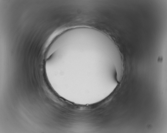 X0000113210056200910221112