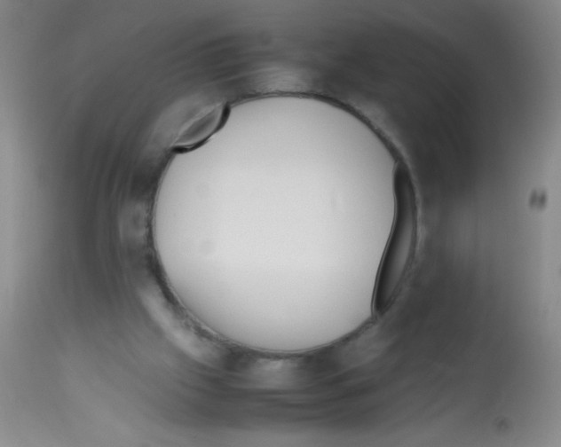 X0000113210057200910221112