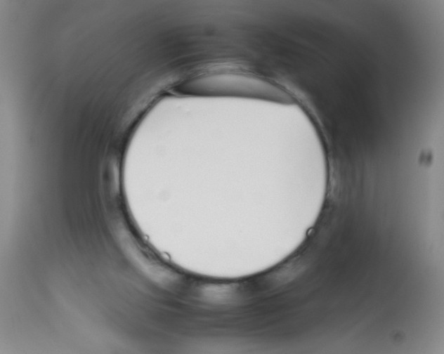 X0000113210061200910221112