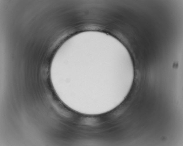 X0000113210063200910221112