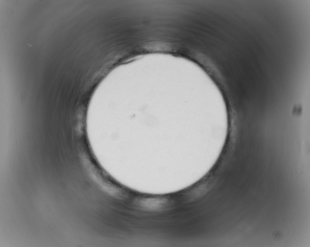 X0000113210065200910221112