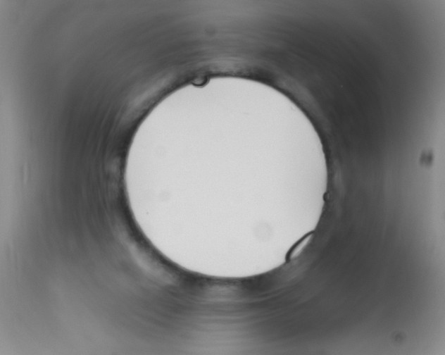 X0000113210066200910221112