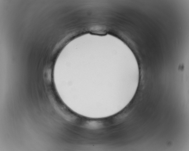 X0000113210067200910221112