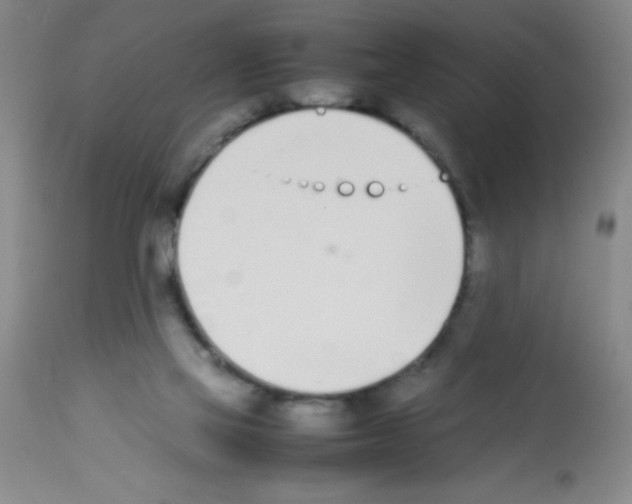 X0000113210069200910221112