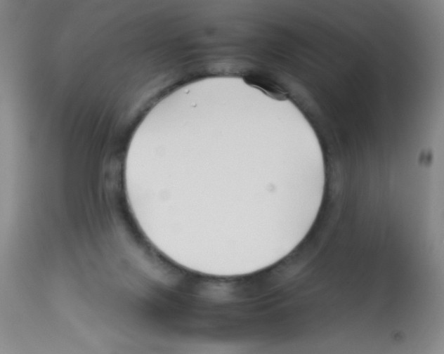 X0000113210071200910221112