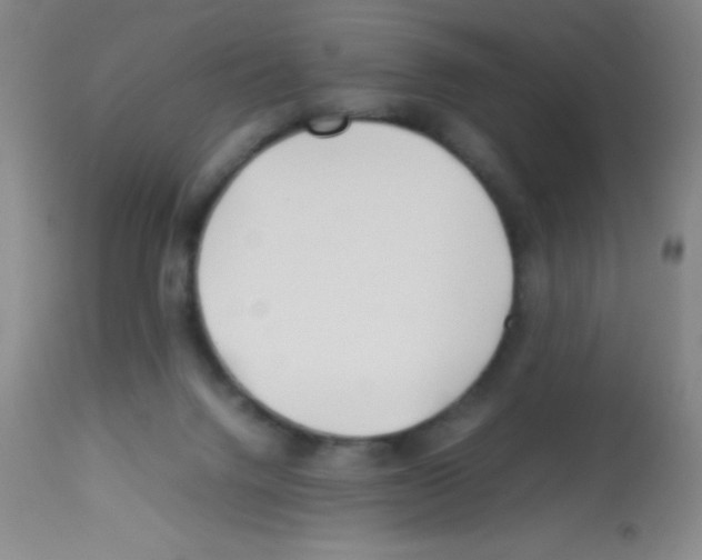 X0000113210072200910221112