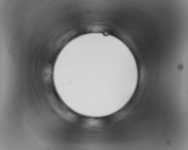 X0000113210073200910221112