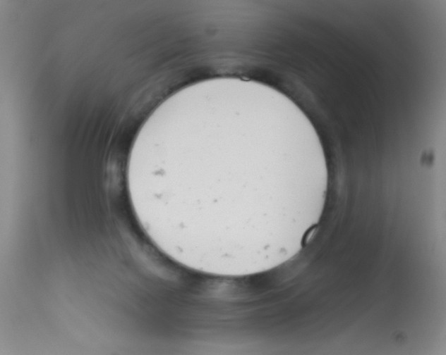 X0000113210074200910221112