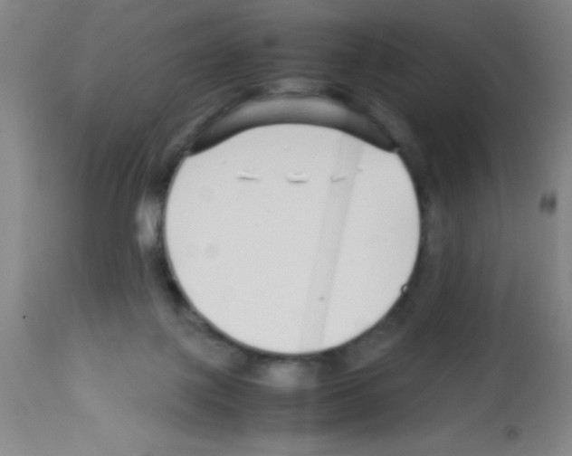 X0000113210075200910221112