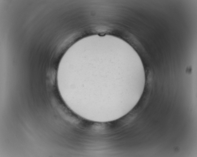 X0000113210076200910221112