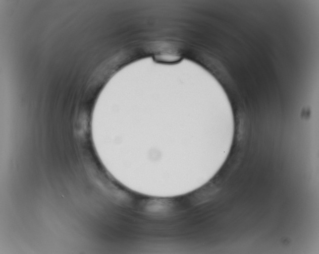 X0000113210077200910221112