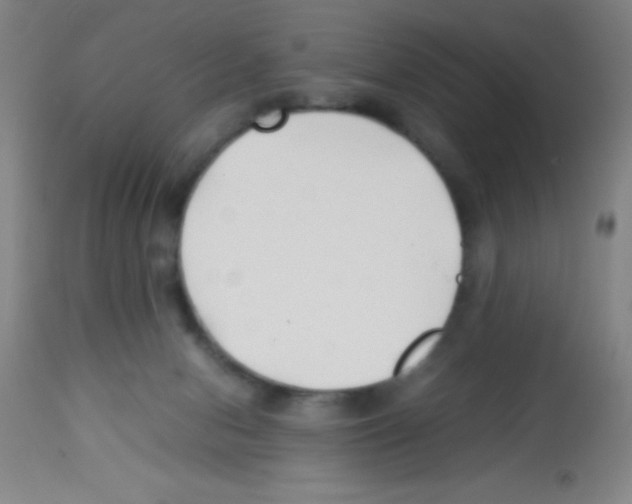 X0000113210078200910221112