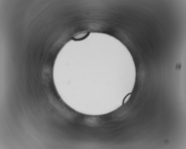 X0000113210079200910221112