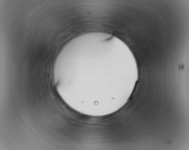 X0000113210080200910221112