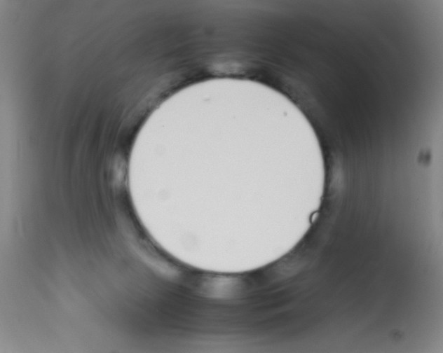 X0000113210081200910221112