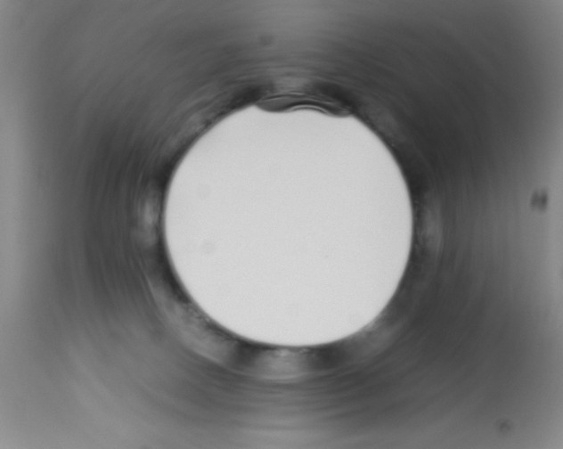 X0000113210082200910221112