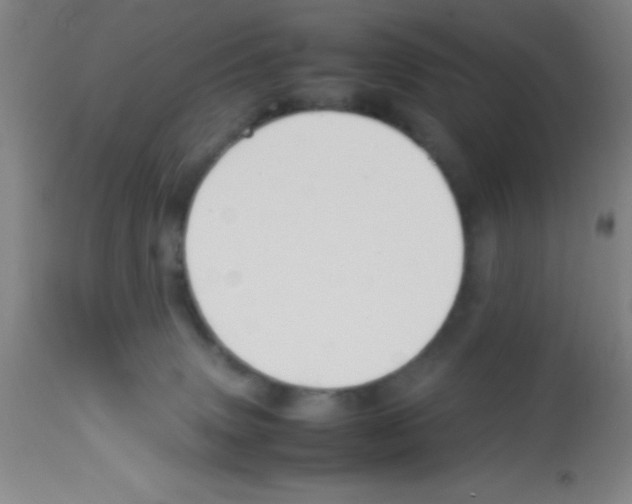 X0000113210083200910221112