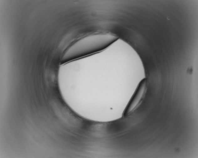 X0000113210084200910221112