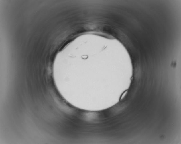 X0000113210085200910221112